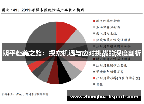 朗平赴美之路：探索机遇与应对挑战的深度剖析