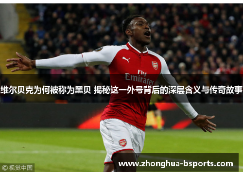 维尔贝克为何被称为黑贝 揭秘这一外号背后的深层含义与传奇故事