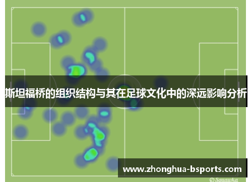 斯坦福桥的组织结构与其在足球文化中的深远影响分析